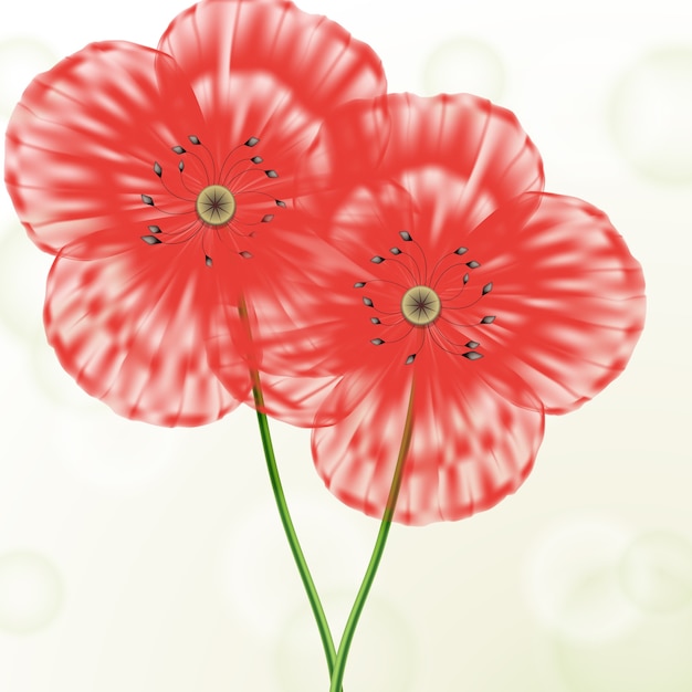 赤いポピーと春の花の概念の背景