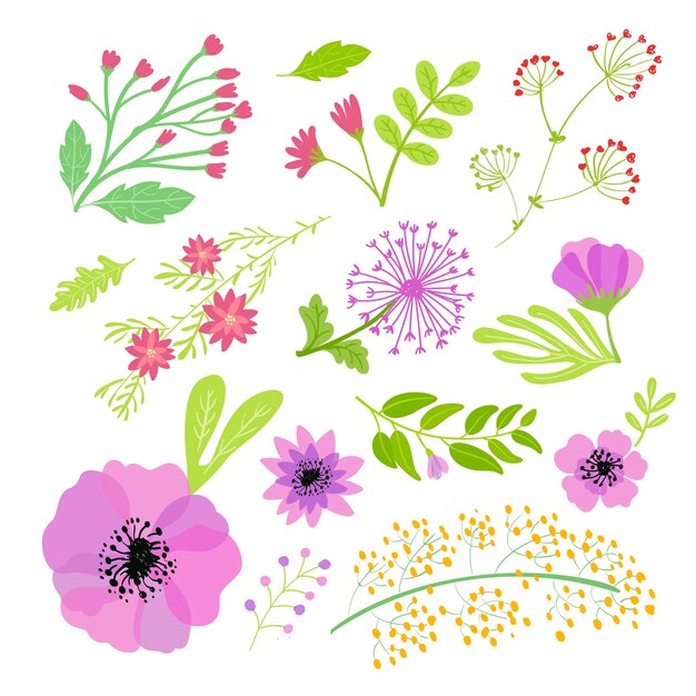 Spring  flower collection hand drawn design