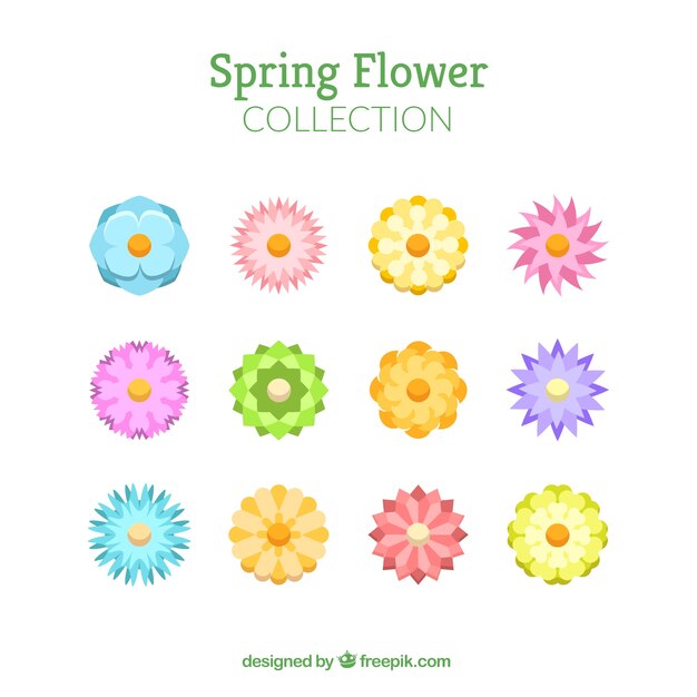 Spring flower collection