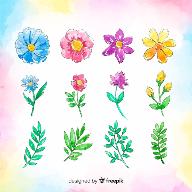 Бесплатное векторное изображение Коллекция весенних цветов