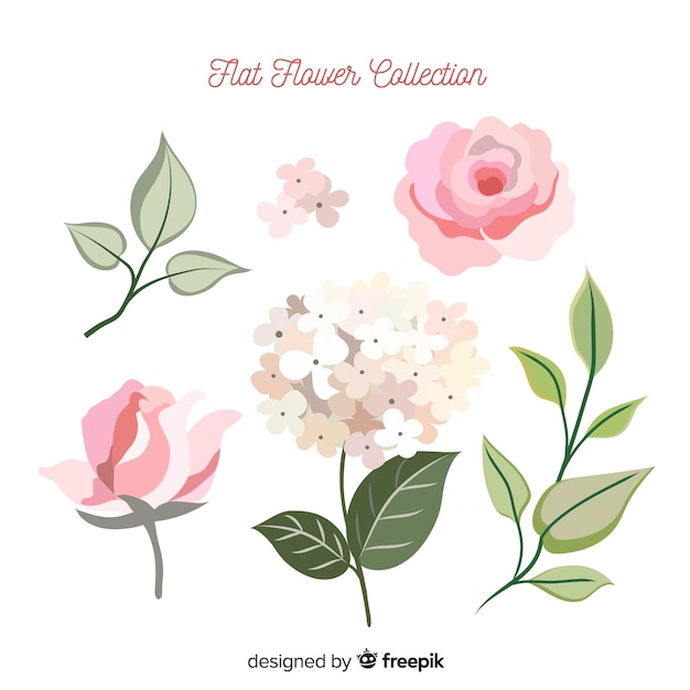 Free vector spring flower collection