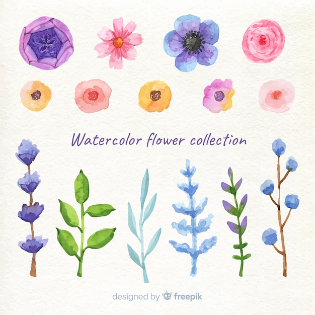 Free vector spring flower collection