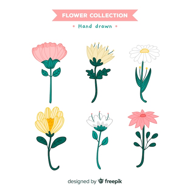 Spring flower collection