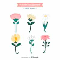 Free vector spring flower collection