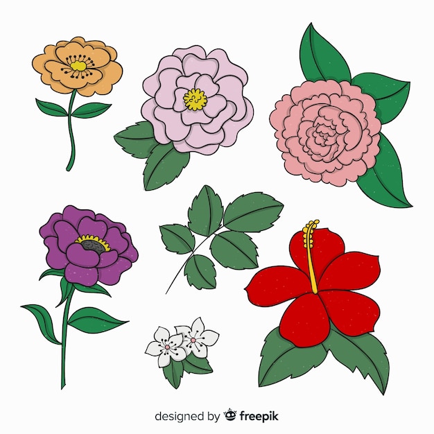 Free vector spring flower collection