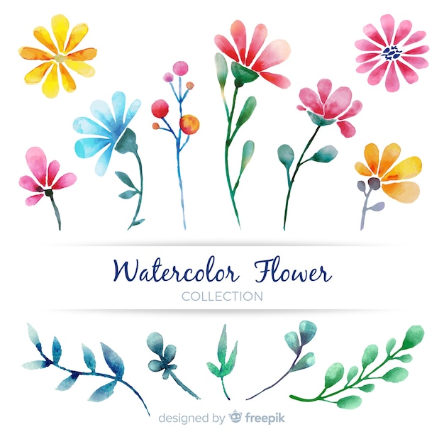 Free vector spring flower collection