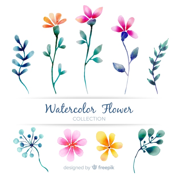 Free vector spring flower collection