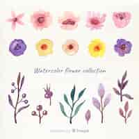 Free vector spring flower collection