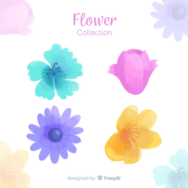 Spring flower collection