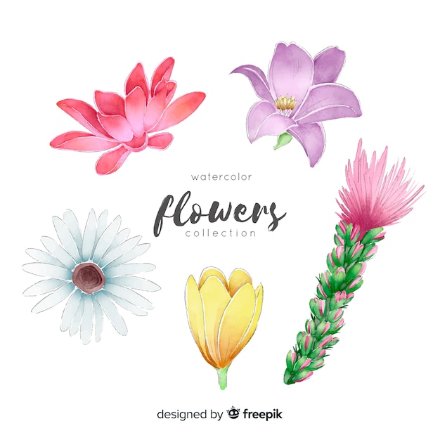 Free vector spring flower collection