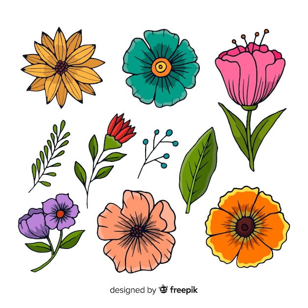 Бесплатное векторное изображение Коллекция весенних цветов