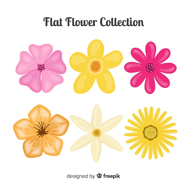 Spring flower collection