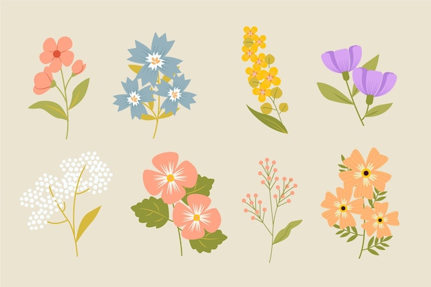 Spring flower collection