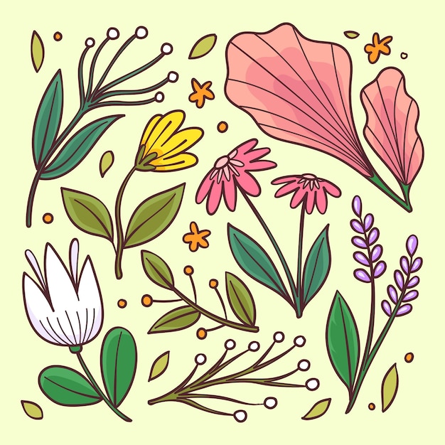 Free vector spring flower collection