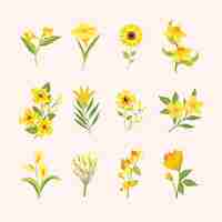 Free vector spring flower collection