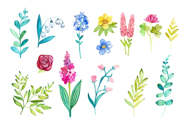 Free vector spring flower collection