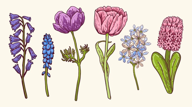 Free vector spring flower collection