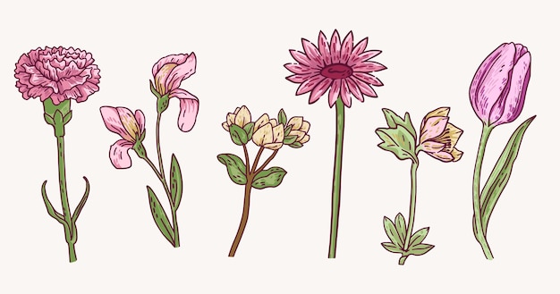 Free vector spring flower collection