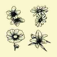 Free vector spring flower collection