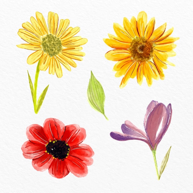 Vettore gratuito collezione di fiori primaverili