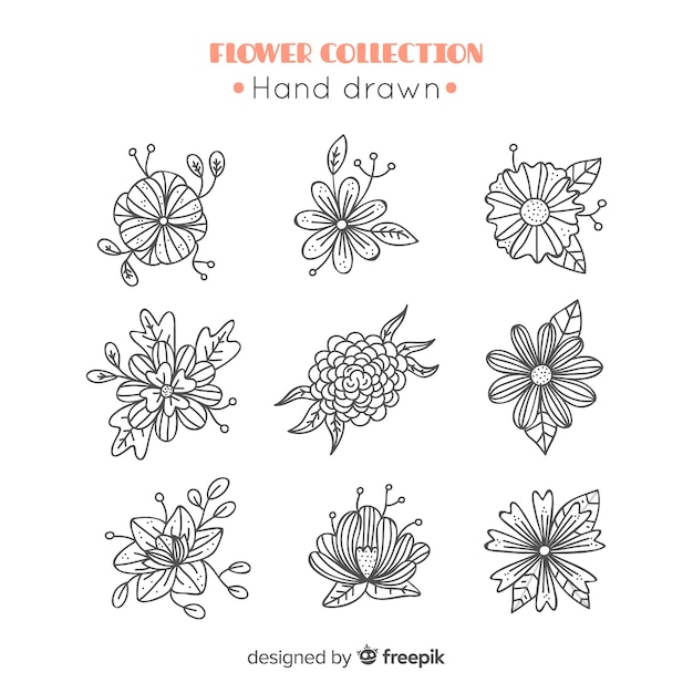 Spring flower sketch collection