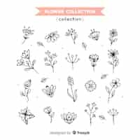 Free vector spring flower sketch collection