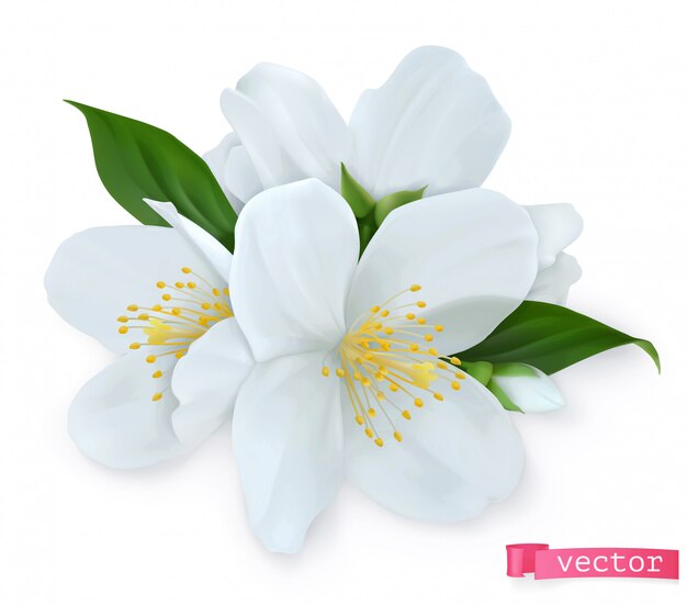 ゴリラの花のイラスト プレミアムベクター