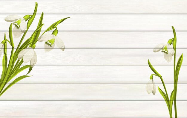 Spring flowers background for your design Wooden background with empty space