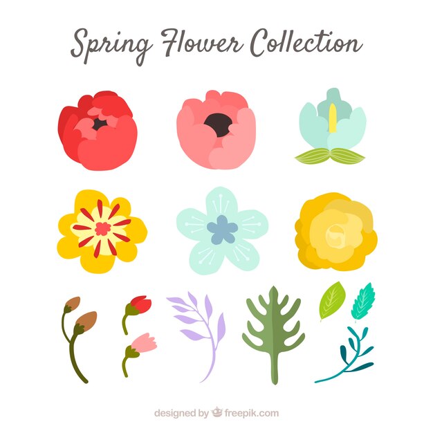 Коллекция весенних цветов в плоском стиле