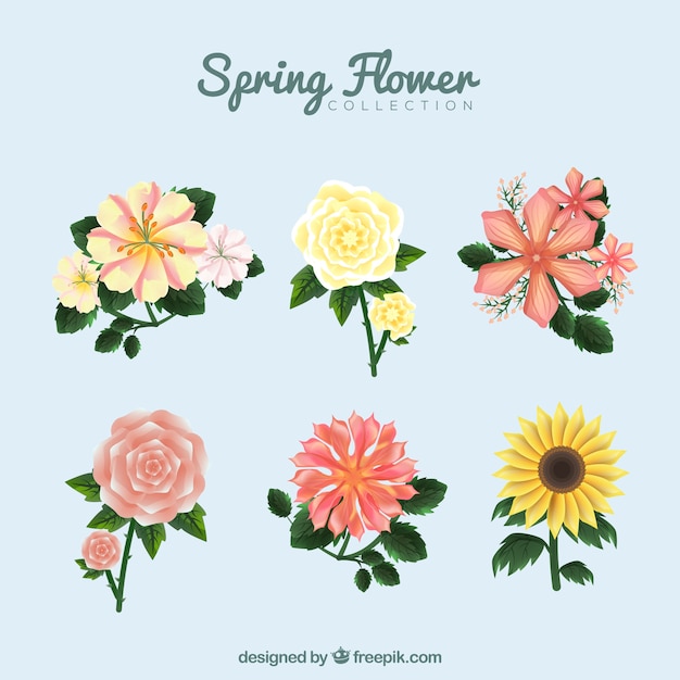 Free vector spring flowers collection in vintage style