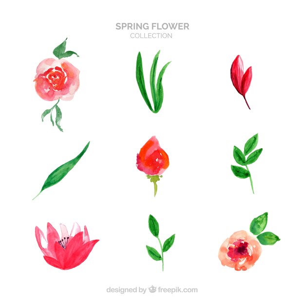 Коллекция весенних цветов в акварельном стиле