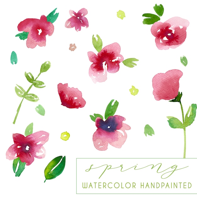 Free vector spring flowers collection