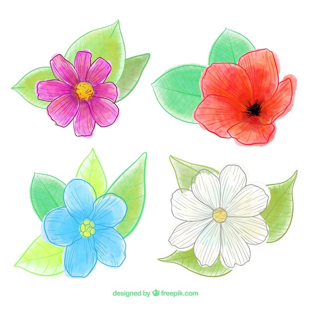 Free vector spring flowers collection