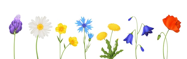 Vettore gratuito set di fiori primaverili con icone realistiche isolate di piccoli petali di fiori e gambi su sfondo bianco illustrazione vettoriale