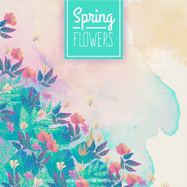 Spring flowers watercolor background
