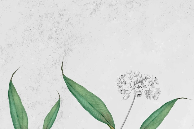 Spring garlic pattern on a grunge gray background