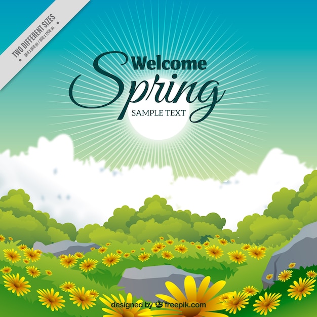 Free vector spring landscape background with daisies