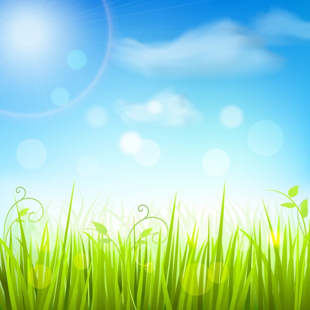 Spring meadow grass blue sky background