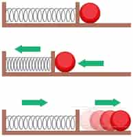 Free vector spring motion science experiments