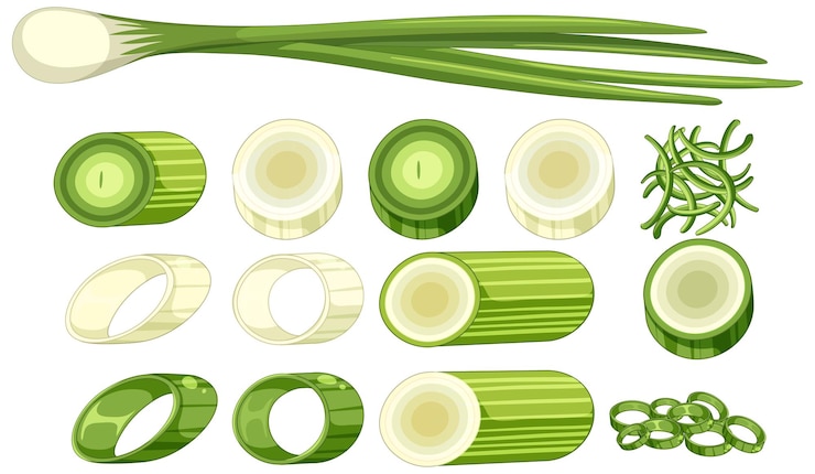 Free Vector spring onion in different forms