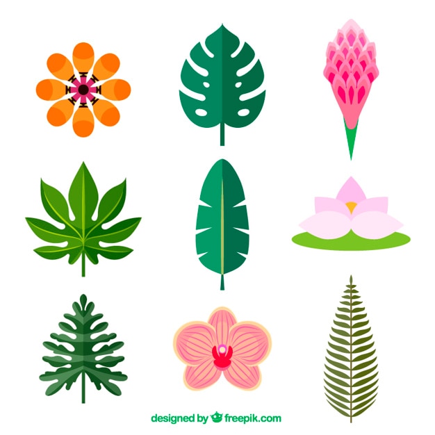 Free vector spring plants set