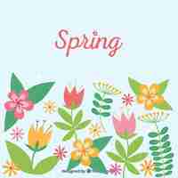 Free vector spring postcard