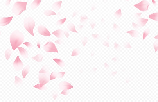 手描き桜の枝イラスト 無料のベクター