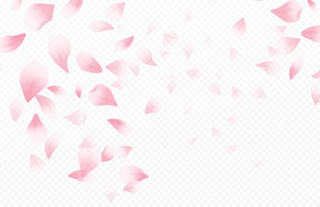春の背景 画像 無料のベクター ストックフォト Psd