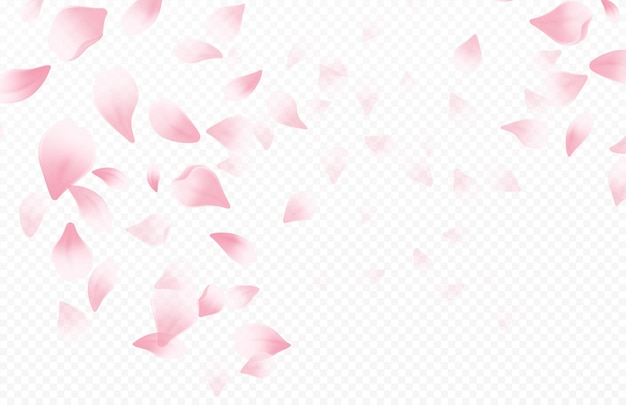 Spring time beautiful background with spring blooming cherry blossoms. sakura flying petals isolated on white background. vector illustration eps10