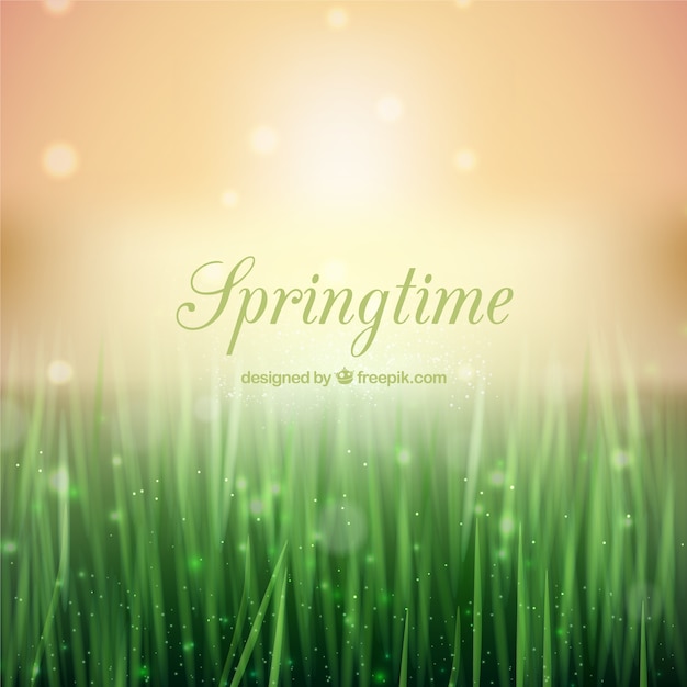 Free vector springtime background in bokeh style