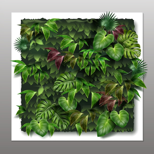 квадратный вертикальный сад или зеленая стена с тропическими зелеными листьями