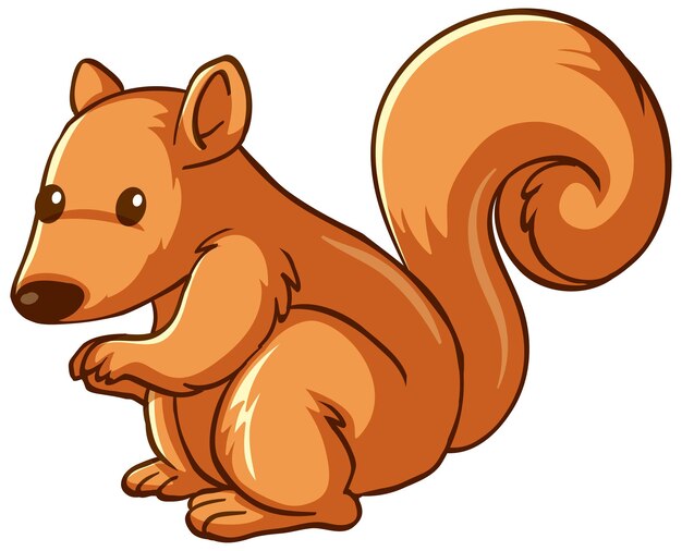 Squirrel animal cartoon on white background