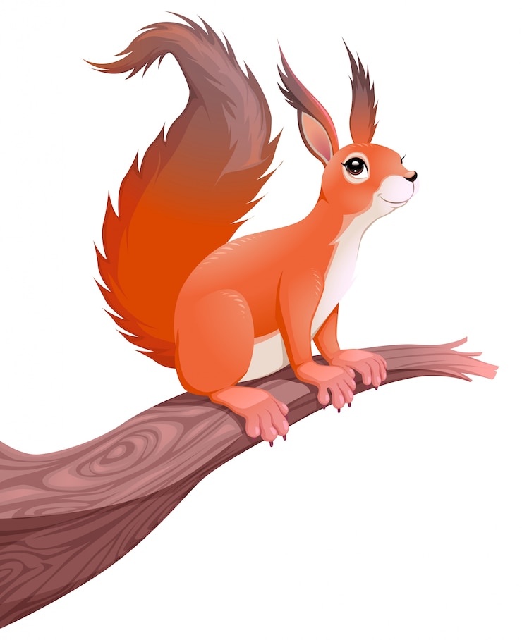 Free Vector squirrel on branch
