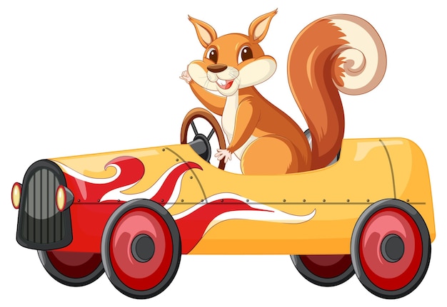 A squirrel driving car on white back ground